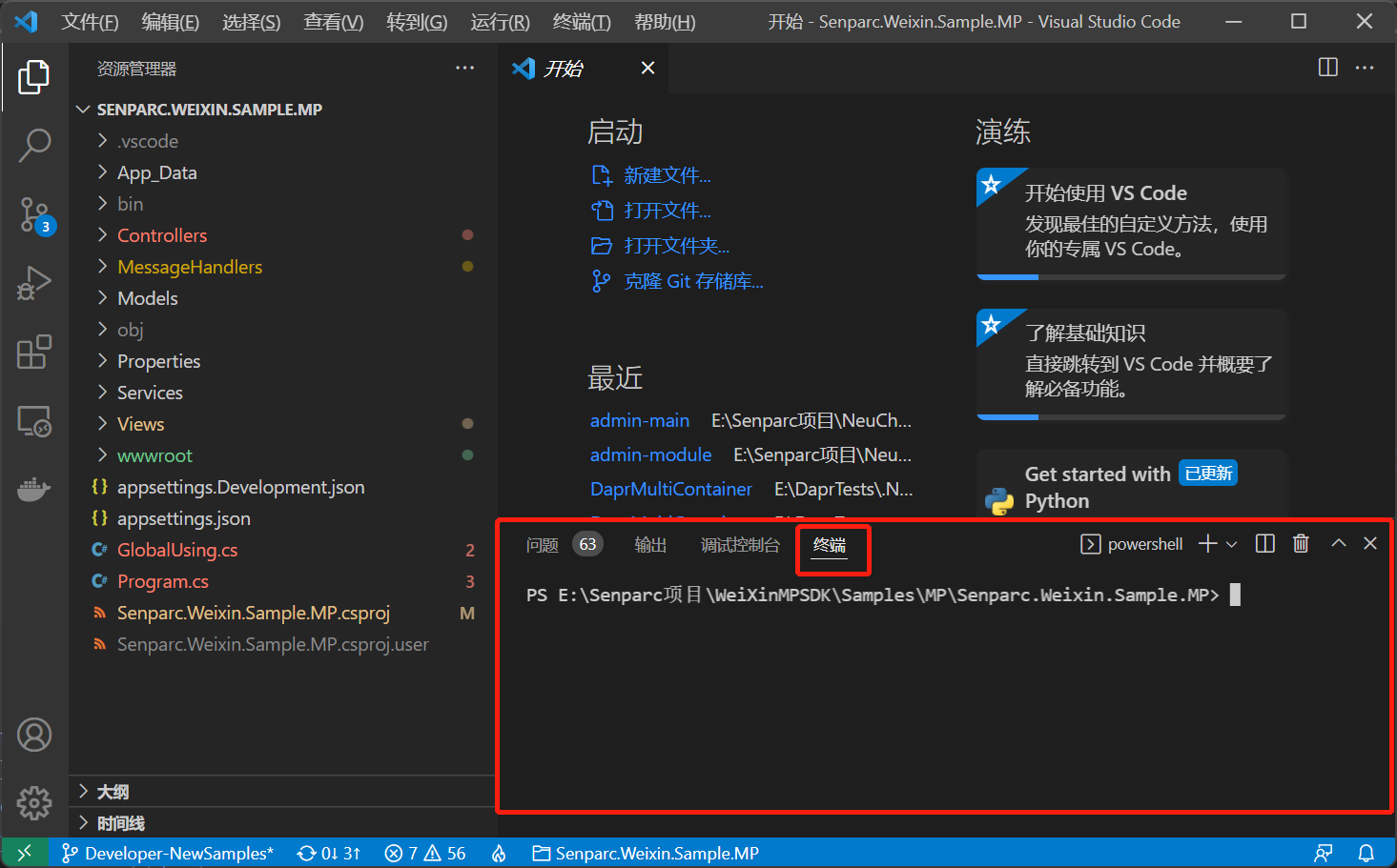 通过 VS Code 安装